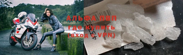 стафф Бородино