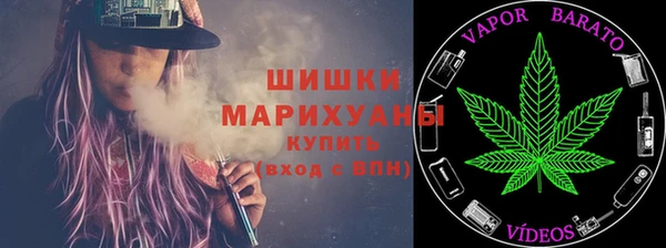 стафф Бородино