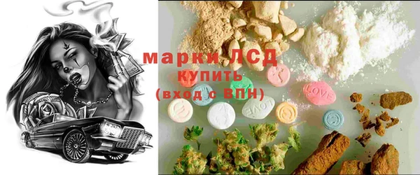 стафф Бородино