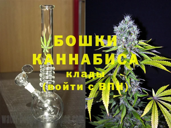 стафф Бородино