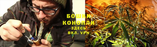 спиды Бронницы