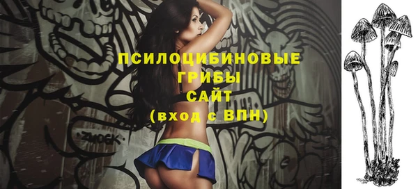 стафф Бородино