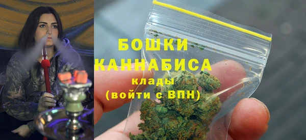 спиды Бронницы