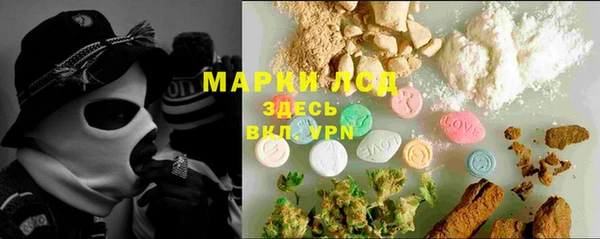 стафф Бородино