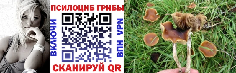Галлюциногенные грибы GOLDEN TEACHER  Кировск 
